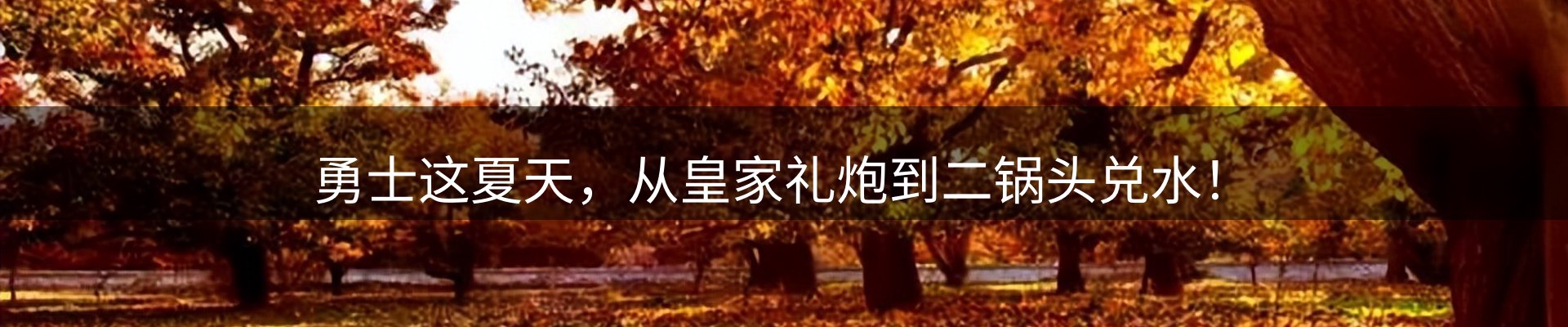 内页banner